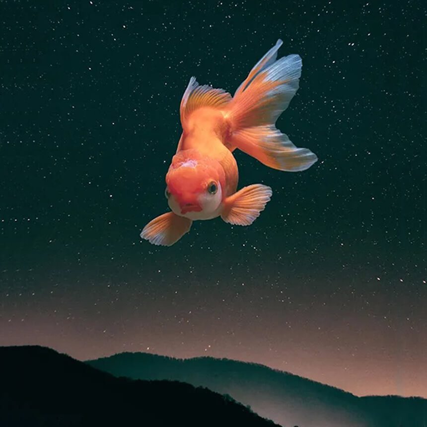 Photoshop Image Blending