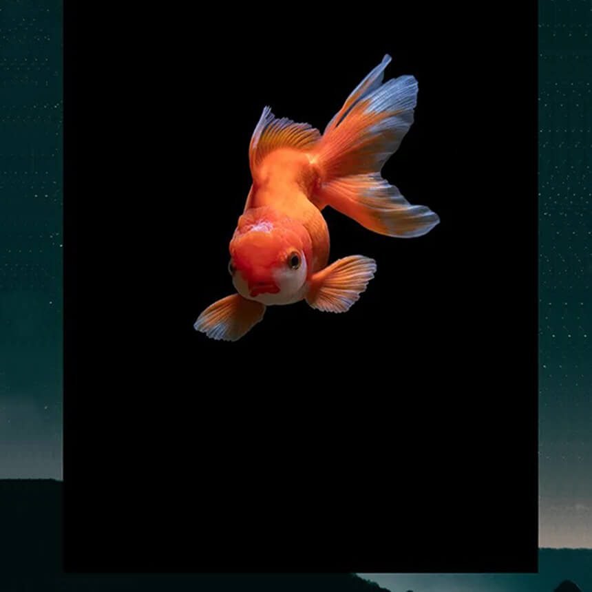 Photoshop Image Blending