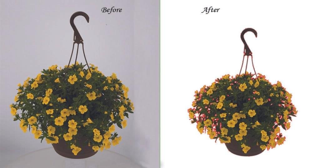 Complex Clipping Path